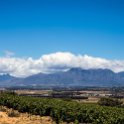 ZAF WC CW Paarl 2016NOV17 SpiceRoute 015 : 2016, 2016 - African Adventures, Africa, November, South Africa, Southern, Western Cape, Paarl, Cape Winelands, Spice Route